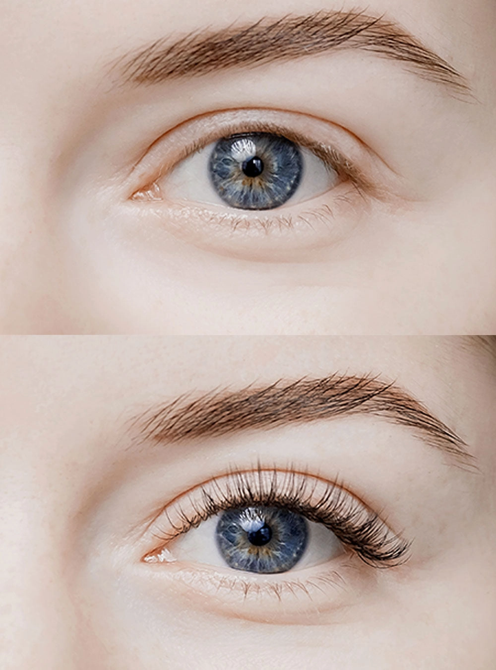 False Lash Mascara -  Celesty *Final Sale*